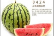 学 [][][] 代表 
