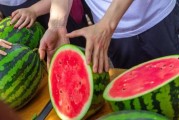 黑料吃瓜网apk普通安装 